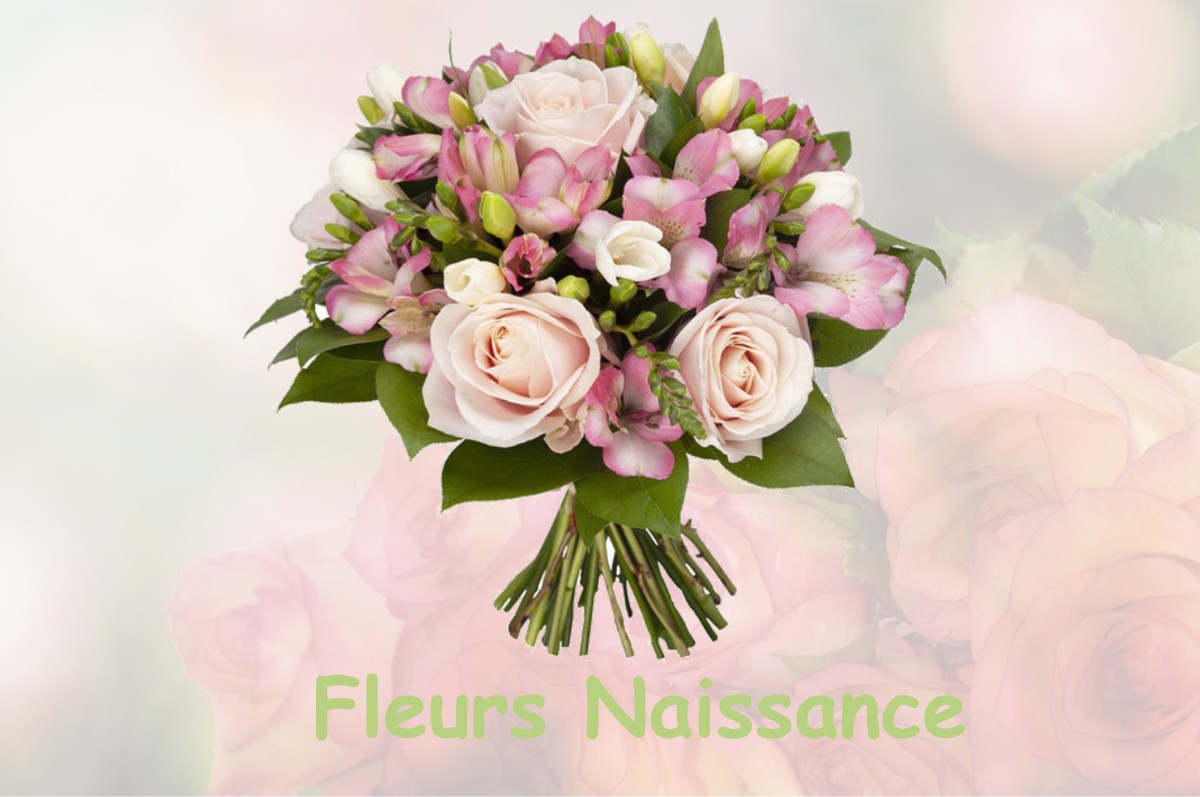 fleurs naissance CARCARES-SAINTE-CROIX